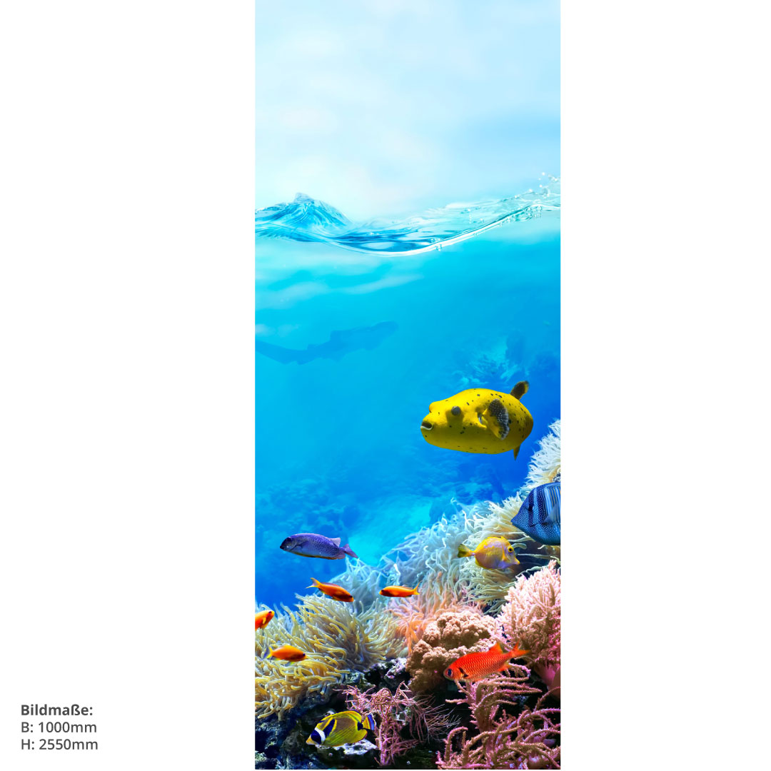 Duschrückwand Great Barrier Reef Grösse
