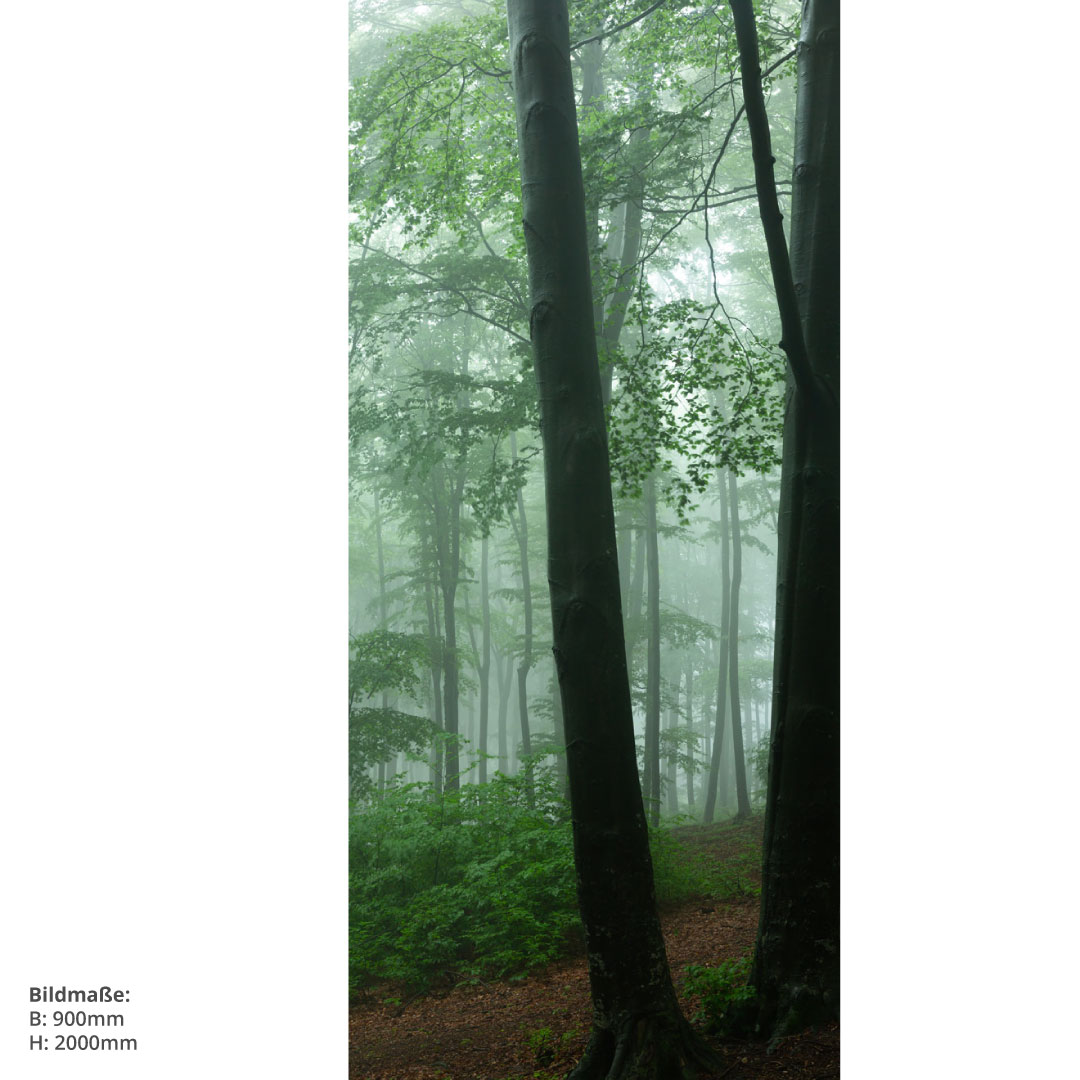Duschrückwand Nebeligen Wald