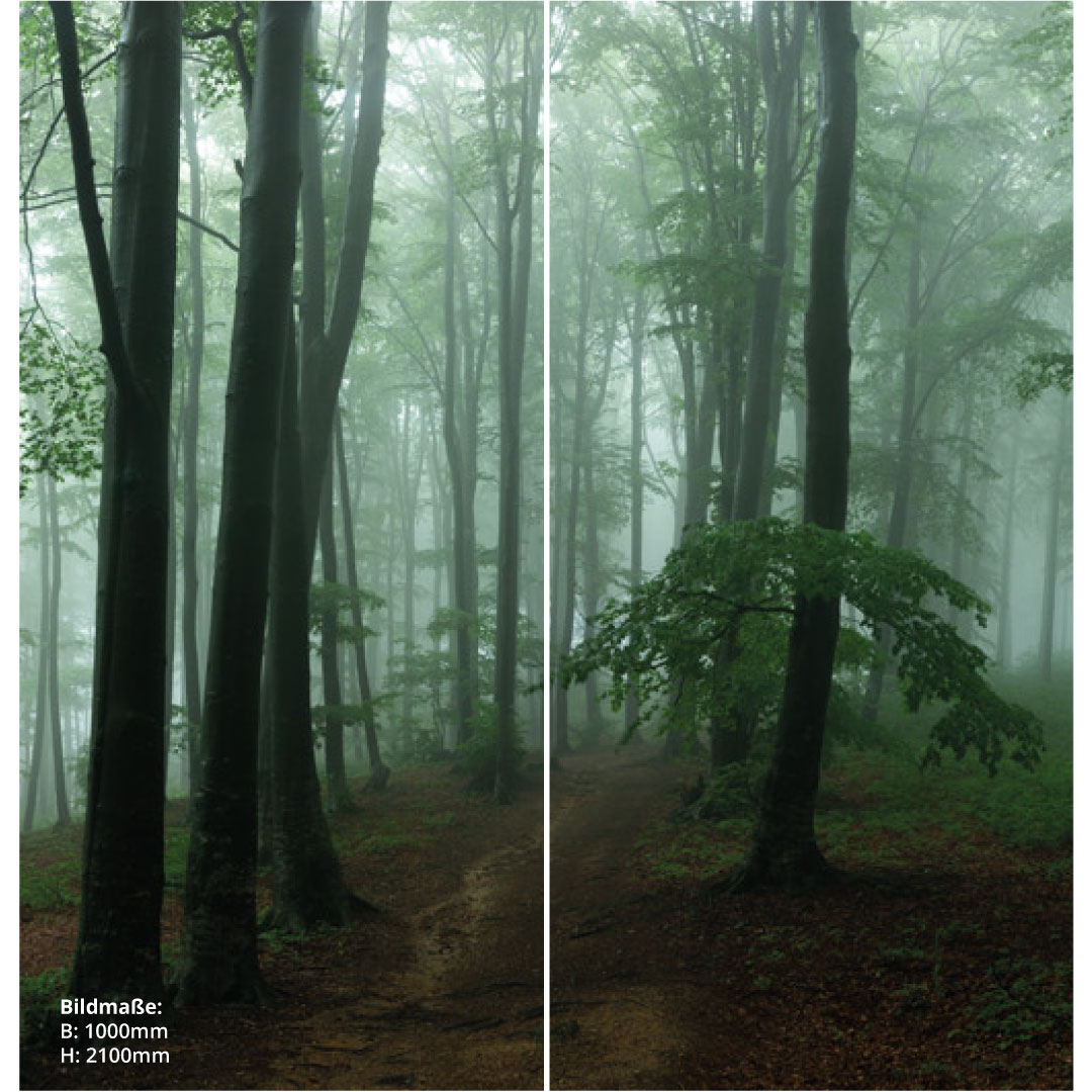 Duschrückwand Nebeligen Wald über Eck Set