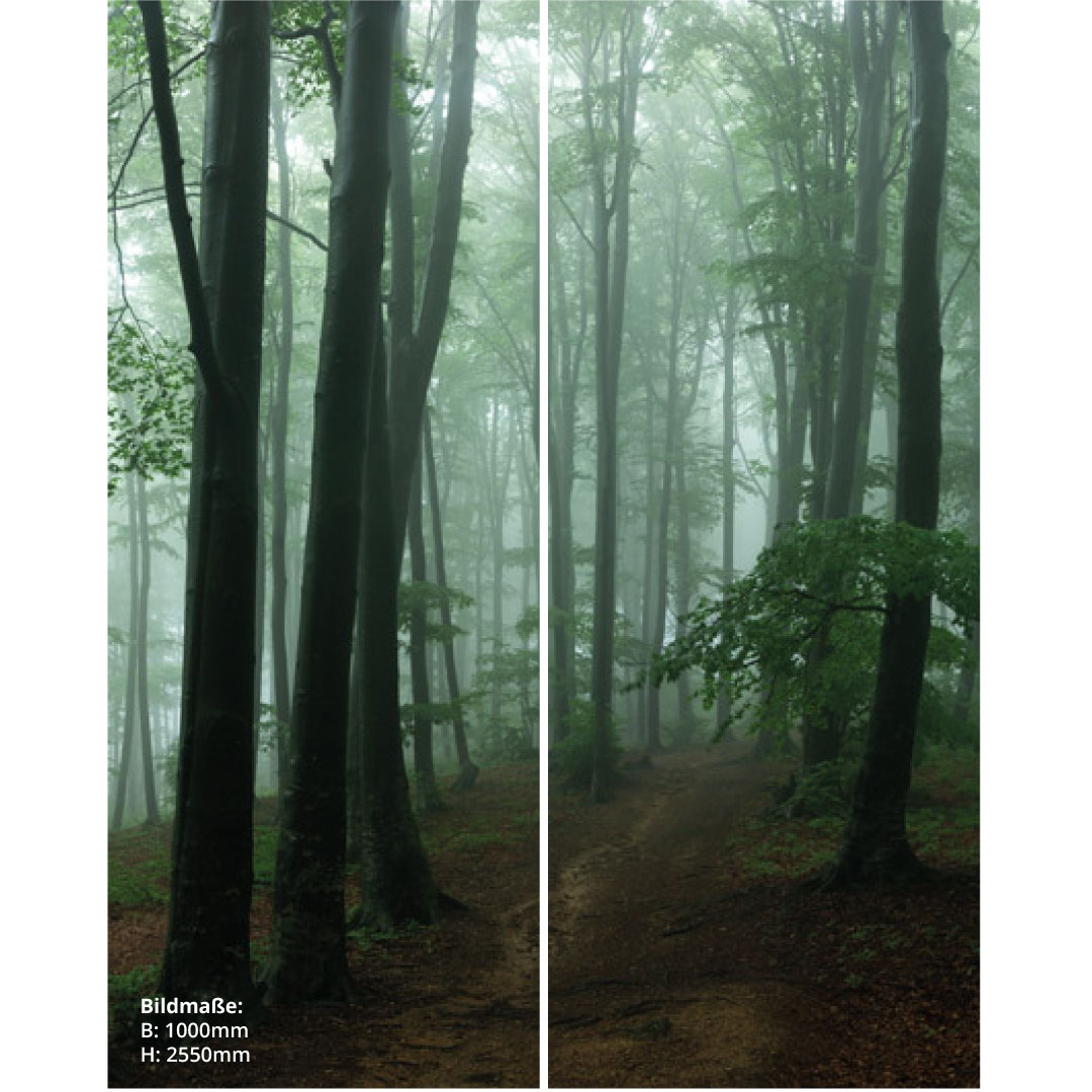 Duschrückwand Nebeligen Wald über Eck Set